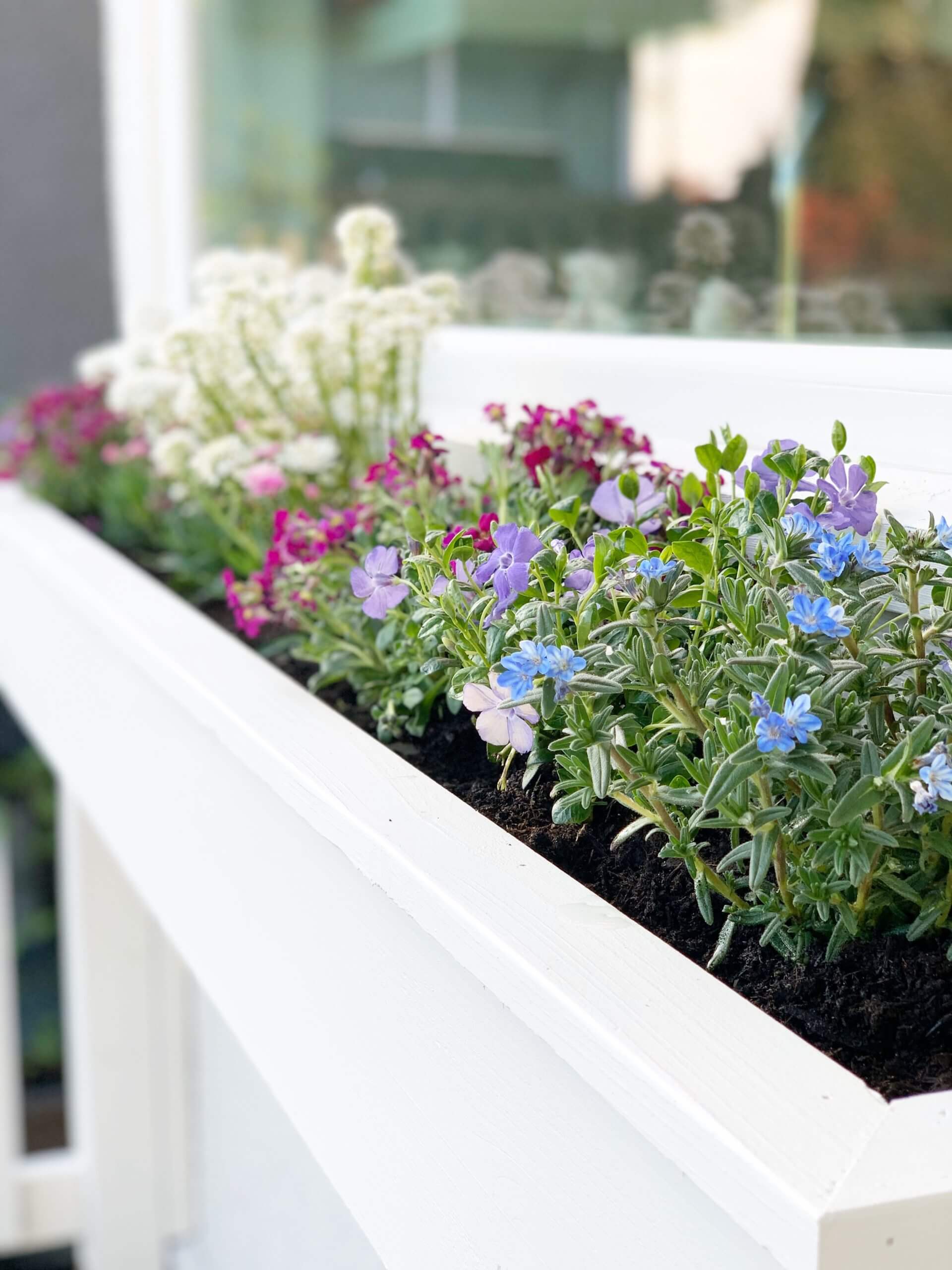 todd talbot how to build a diy window box